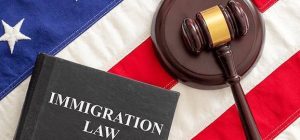 Immigration Adviser And Lawyer