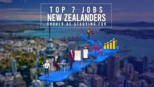 study visa nz
